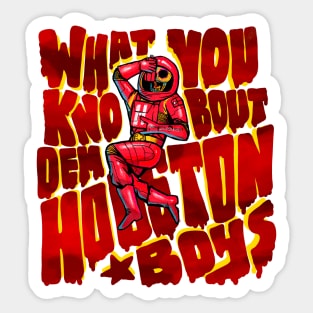 HOUSTON BOYS - ROCKETS Sticker